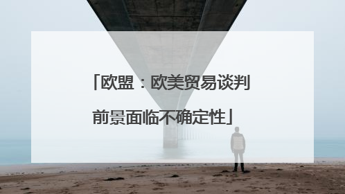 欧盟：欧美贸易谈判前景面临不确定性