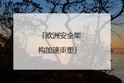 欧洲安全架构加速重塑