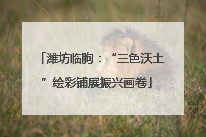 潍坊临朐：“三色沃土”绘彩铺展振兴画卷