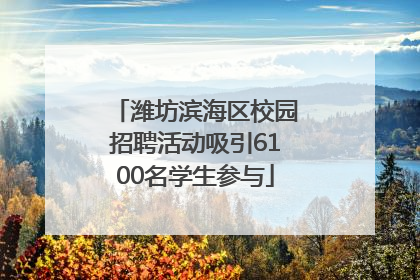 潍坊滨海区校园招聘活动吸引6100名学生参与