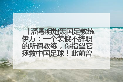 潘粤明炮轰国足教练伊万：一个装傻不辞职的所谓教练，你指望它拯救中国足球！此前曾多次发文评价国足