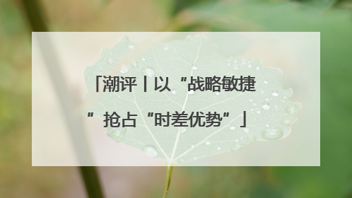 潮评丨以“战略敏捷”抢占“时差优势”