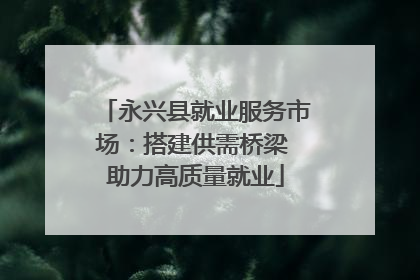 永兴县就业服务市场：搭建供需桥梁 助力高质量就业