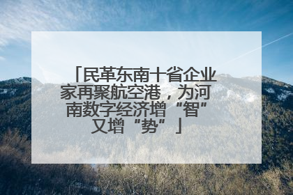 民革东南十省企业家再聚航空港，为河南数字经济增“智”又增“势”