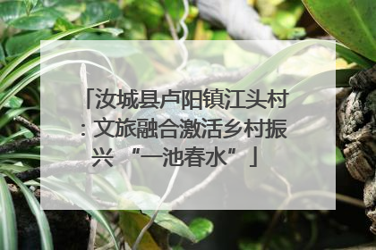 汝城县卢阳镇江头村：文旅融合激活乡村振兴 “一池春水”
