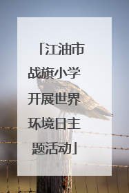 江油市战旗小学开展世界环境日主题活动