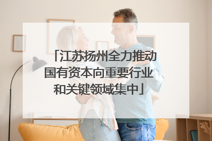 江苏扬州全力推动国有资本向重要行业和关键领域集中