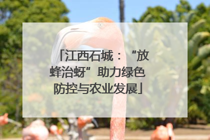江西石城：“放蜂治蚜”助力绿色防控与农业发展