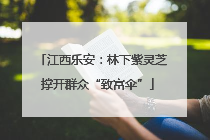江西乐安：林下紫灵芝撑开群众“致富伞”