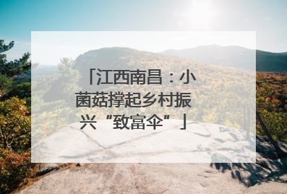 江西南昌：小菌菇撑起乡村振兴“致富伞”