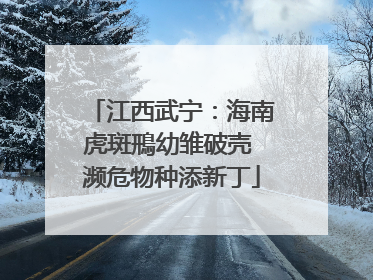 江西武宁：海南虎斑鳽幼雏破壳 濒危物种添新丁