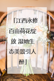 江西永修百亩荷花绽放 湿地生态美景引人醉