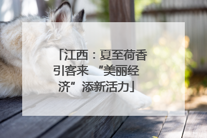 江西：夏至荷香引客来 “美丽经济”添新活力
