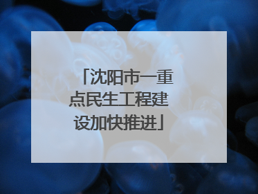 沈阳市一重点民生工程建设加快推进
