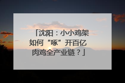 沈阳：小小鸡架如何“啄”开百亿肉鸡全产业链？