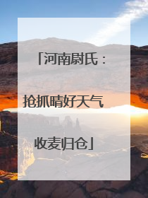 河南尉氏：抢抓晴好天气收麦归仓