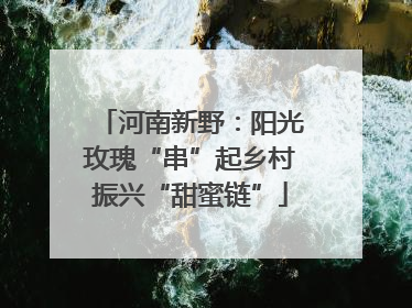 河南新野：阳光玫瑰“串”起乡村振兴“甜蜜链”