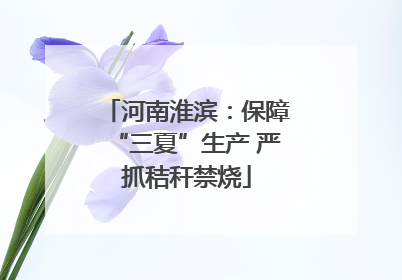 河南淮滨：保障“三夏”生产 严抓秸秆禁烧
