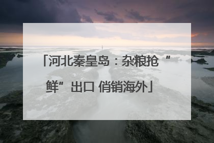 河北秦皇岛：杂粮抢“鲜”出口 俏销海外