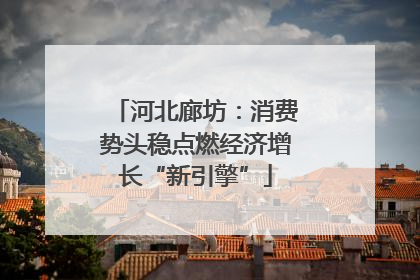 河北廊坊：消费势头稳点燃经济增长“新引擎”