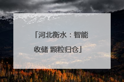 河北衡水：智能收储 颗粒归仓
