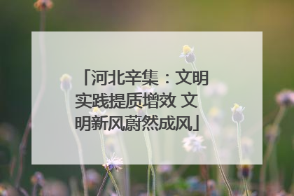 河北辛集：文明实践提质增效 文明新风蔚然成风