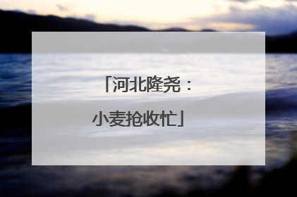 河北隆尧：小麦抢收忙