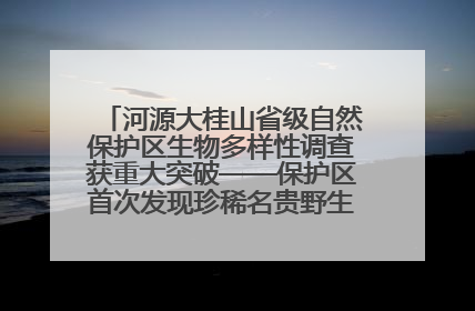 河源大桂山省级自然保护区生物多样性调查获重大突破——保护区首次发现珍稀名贵野生干巴菌与钝尾两头蛇