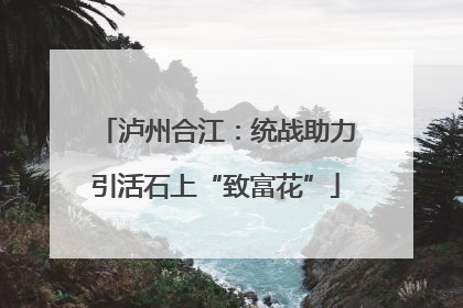 泸州合江：统战助力引活石上“致富花”
