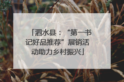 泗水县：“第一书记好品推荐”展销活动助力乡村振兴