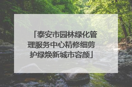 泰安市园林绿化管理服务中心精修细剪护绿焕新城市容颜