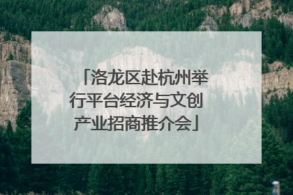 洛龙区赴杭州举行平台经济与文创产业招商推介会