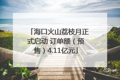 海口火山荔枝月正式启动 订单额（预售）4.11亿元