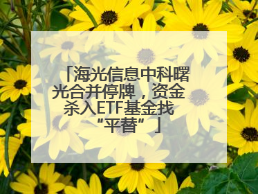 海光信息中科曙光合并停牌，资金杀入ETF基金找“平替”