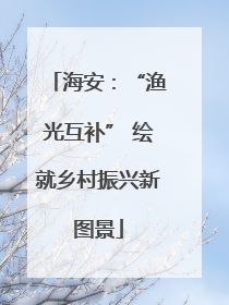 海安：“渔光互补” 绘就乡村振兴新图景