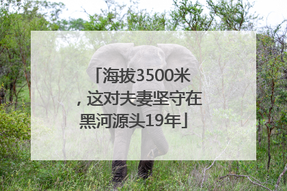 海拔3500米，这对夫妻坚守在黑河源头19年