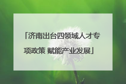 济南出台四领域人才专项政策 赋能产业发展