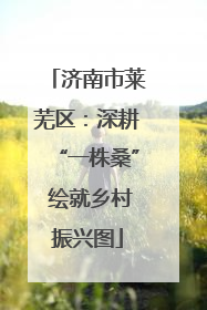 济南市莱芜区：深耕“一株桑” 绘就乡村振兴图