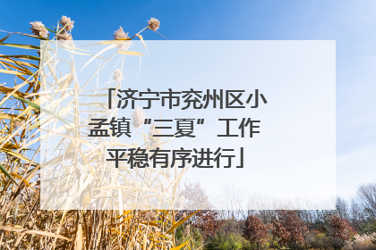 济宁市兖州区小孟镇“三夏”工作平稳有序进行