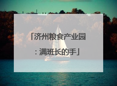 济州粮食产业园：满班长的手
