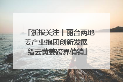 浙报关注丨丽台两地姜产业抱团创新发展 缙云黄姜跨界俏销