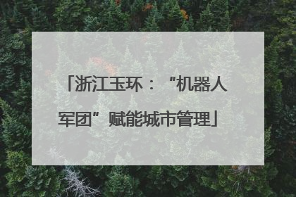 浙江玉环：“机器人军团”赋能城市管理