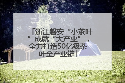 浙江磐安“小茶叶”成就“大产业”，全力打造50亿级茶叶全产业链