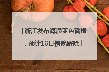 浙江发布海浪蓝色警报，预计16日傍晚解除