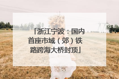 浙江宁波：国内首座市域（郊）铁路跨海大桥封顶
