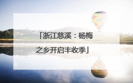 浙江慈溪：杨梅之乡开启丰收季
