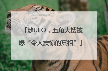 涉UFO，五角大楼被爆“令人震惊的真相”