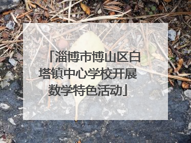 淄博市博山区白塔镇中心学校开展数学特色活动