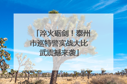 淬火砺剑！泰州市巡特警实战大比武震撼来袭