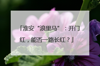 淮安“浪里马”：开门红，能否一路长红？